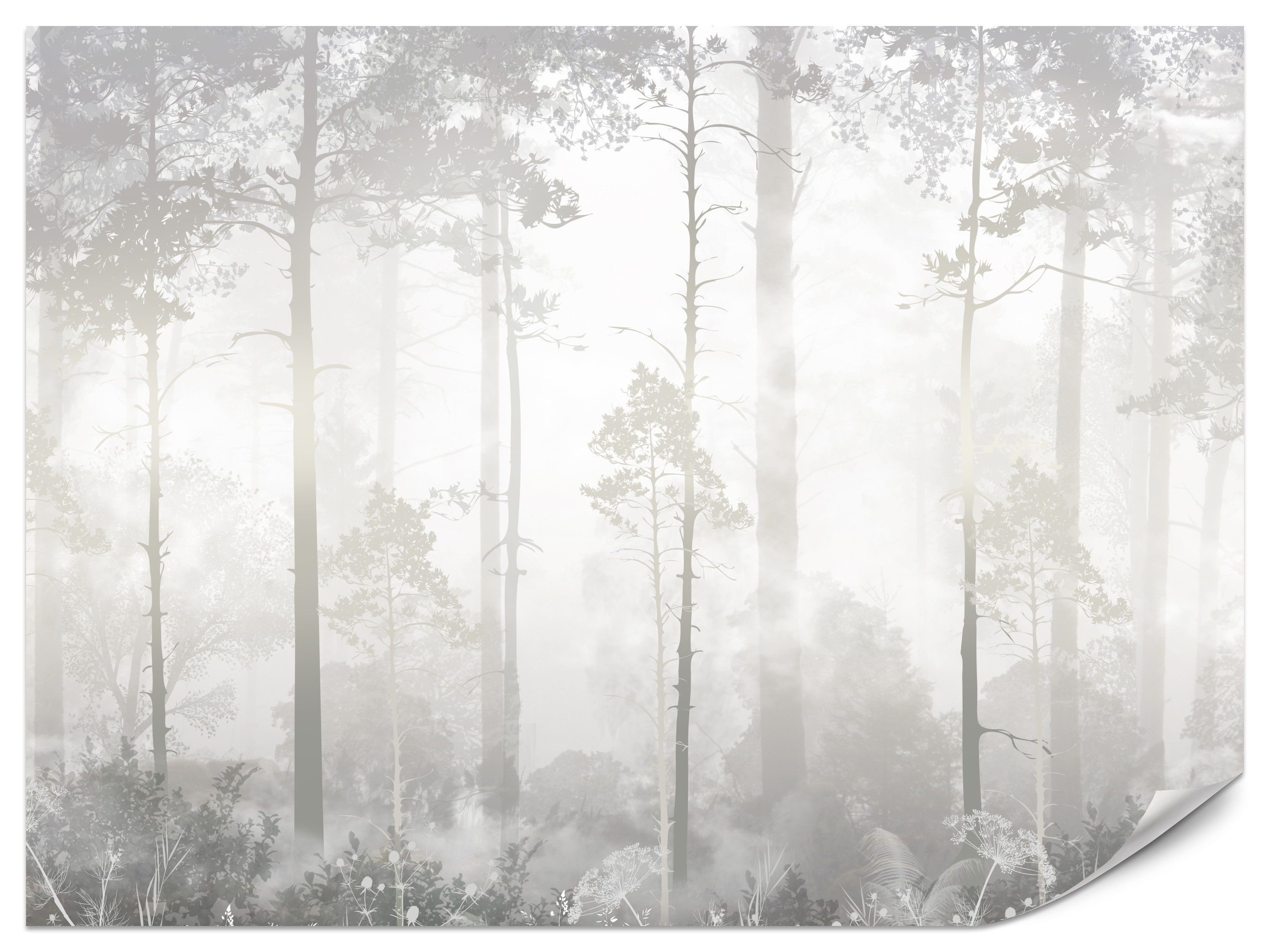 Fototapeta Mglisty las 100x70cm