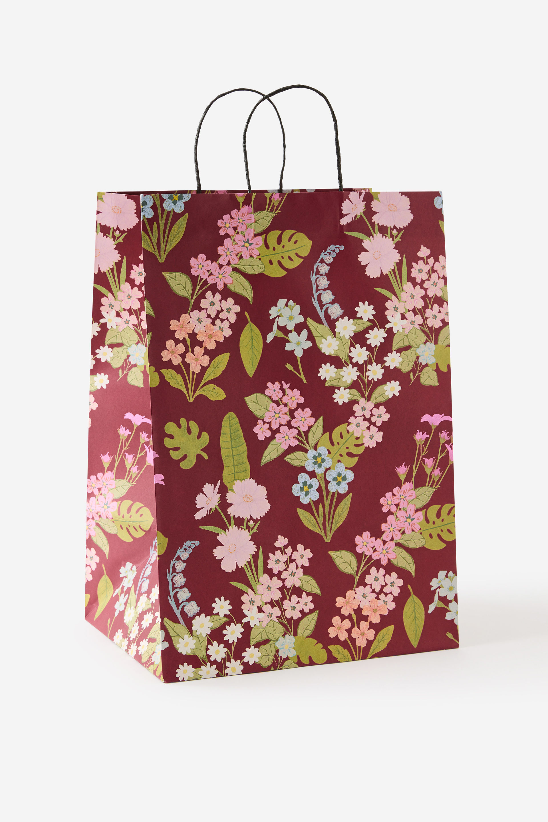 Gift Bag - Large