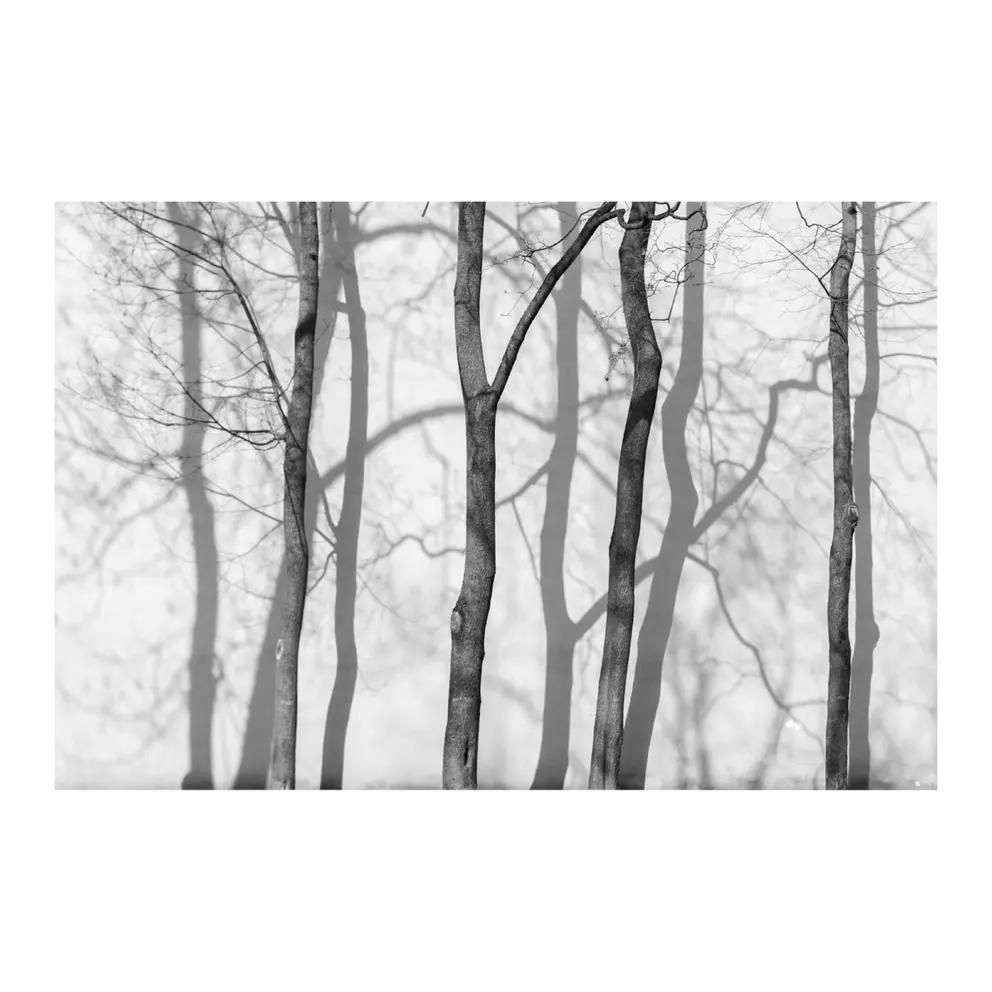 Leinwandbild Digital Art