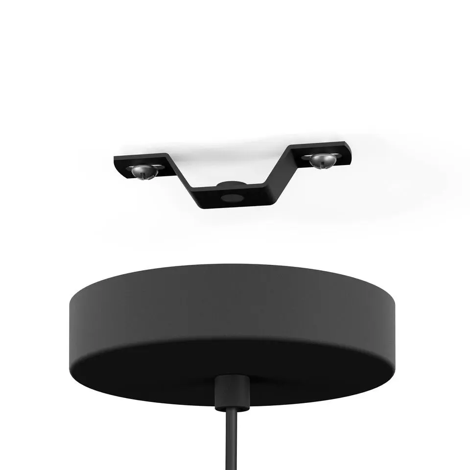 EDI light Rinroe Hanglamp - E27 - &Oslash; 20 cm - 1 lichts - Zwart - Staal