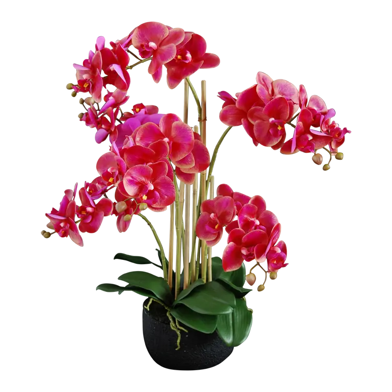 Kunstpflanze Phalaenopsis