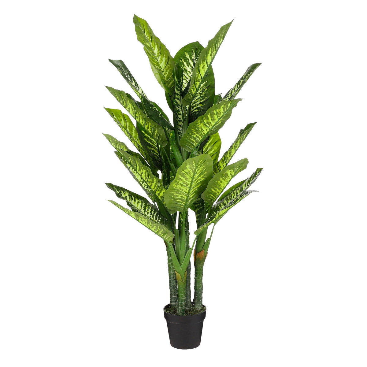 Mica Decorations Dieffenbachia Kunstplant - H150 x Ø70 cm