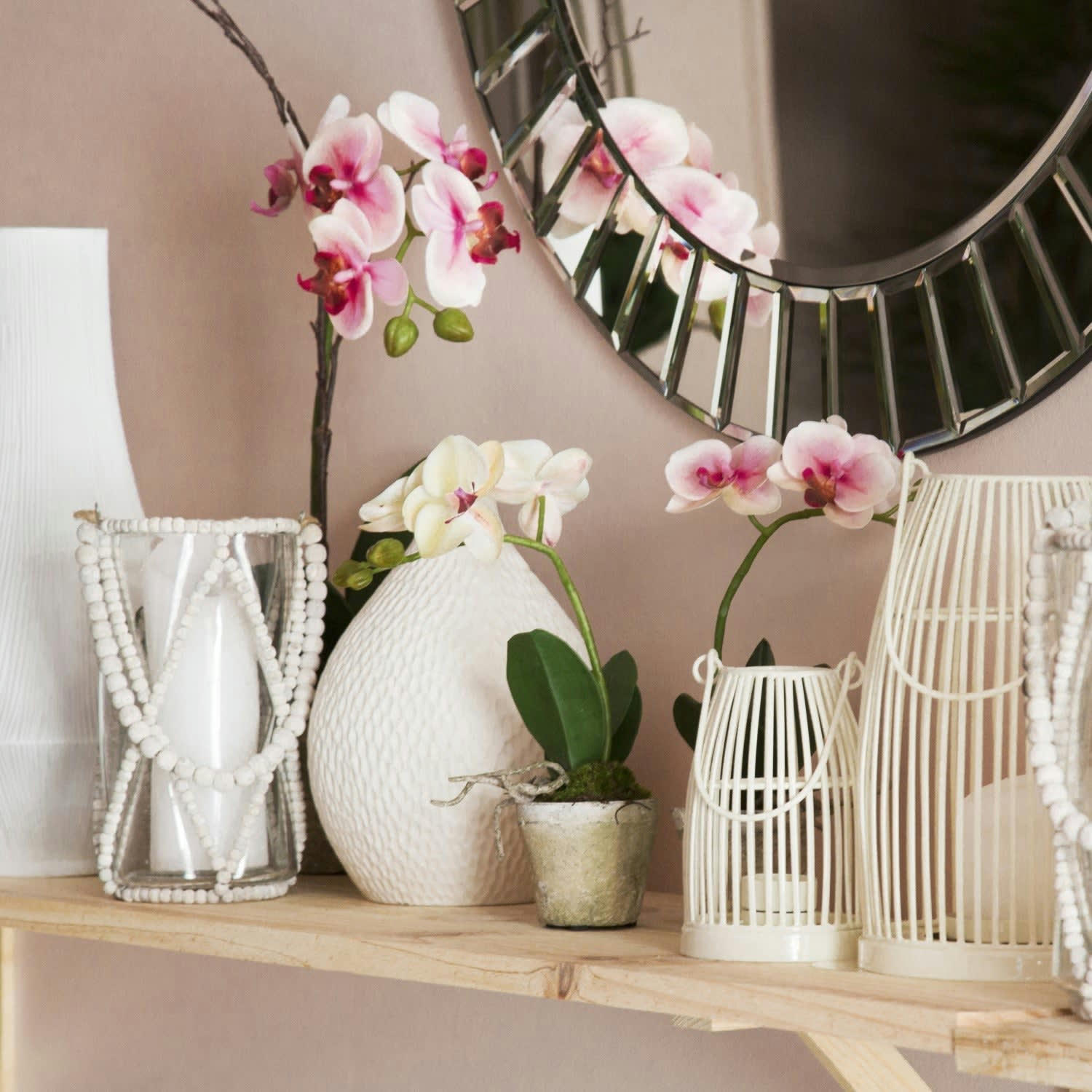 SINA - Orchidée en pot Sina