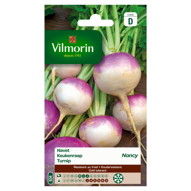 Semences de navet Nancy VILMORIN