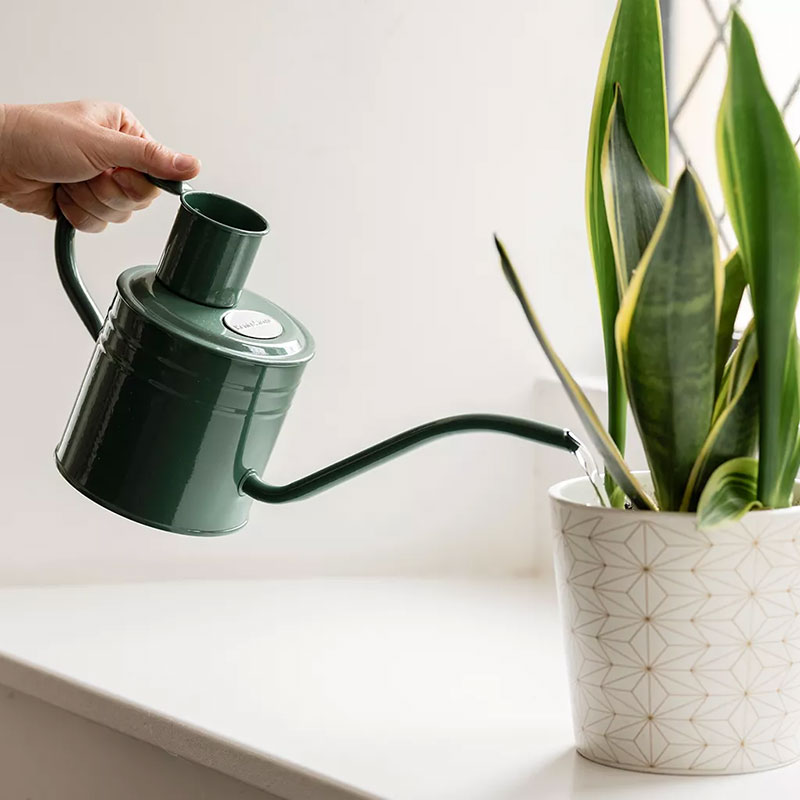 Vattenkanna Sage Green 1 L