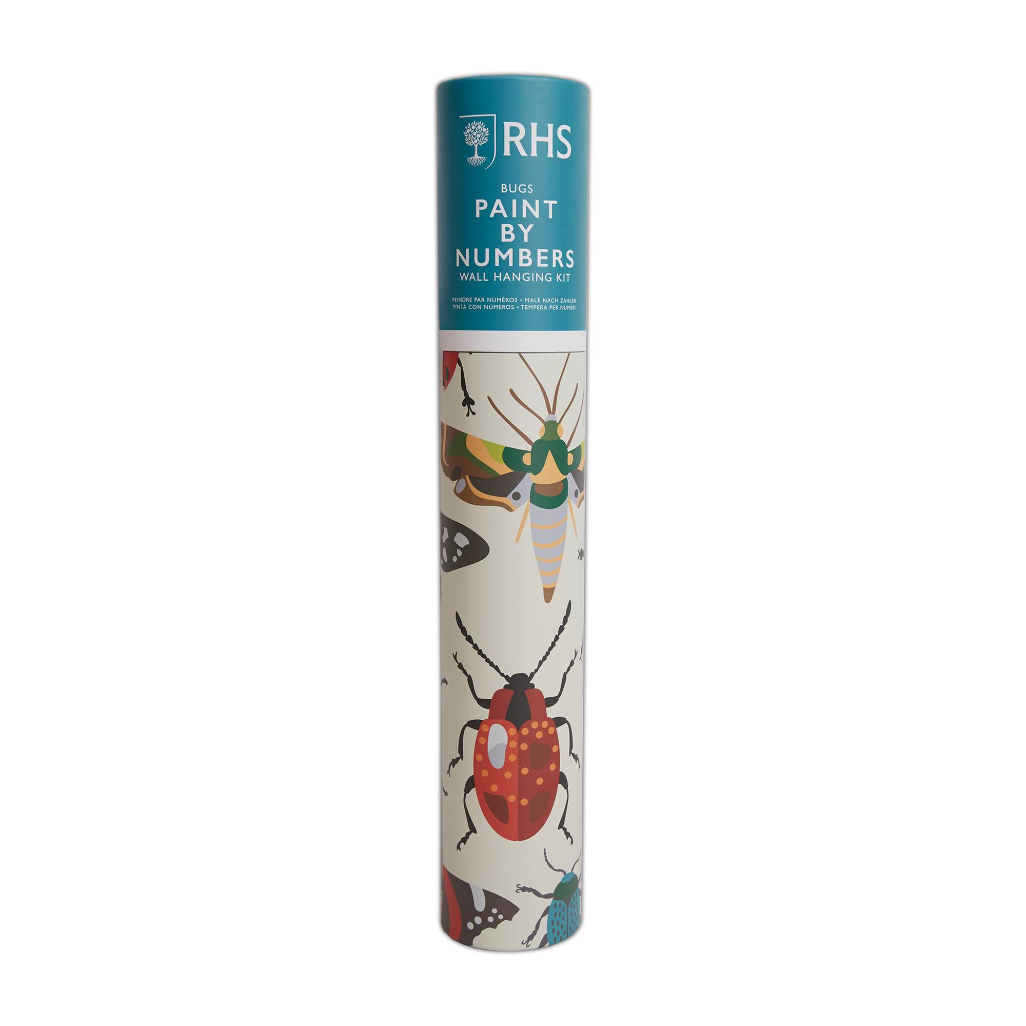 RHS Bugs Paint by Numbers Wall Hanging Kit