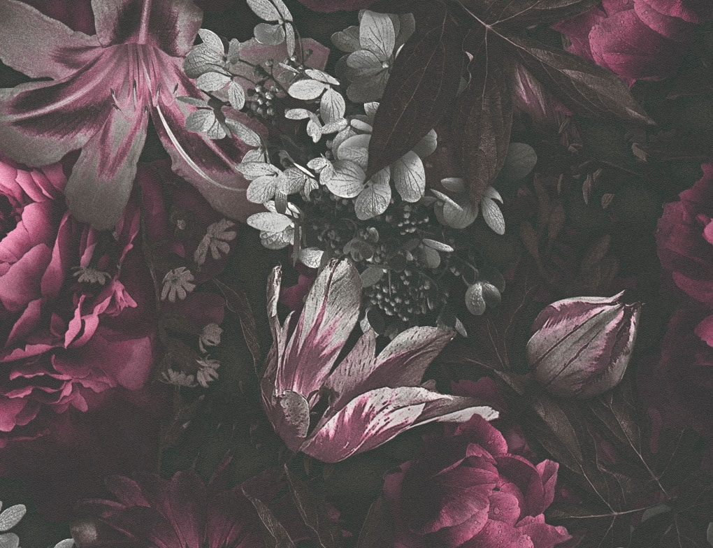 Vliestapete Blume Schwarz, Rot