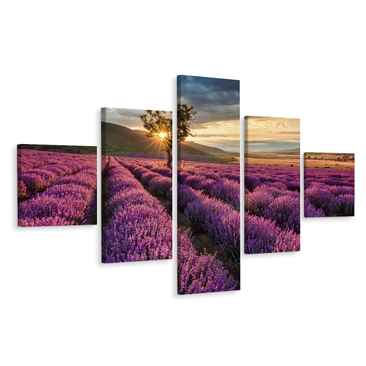 Obraz 5-Częściowy Widok Na Pole Lawendy Pejzaż 3D 150x90cm