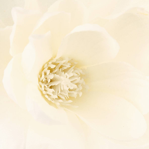 Branches de magnolia en vase H75 cm - Atmosphera