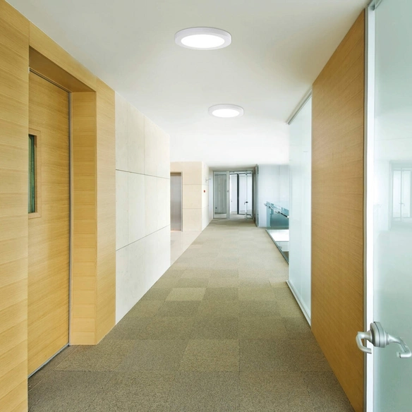 LED-Deckenleuchte »Bonus «, inkl. Leuchtmittel in warmweiß/neutralweiß/kaltweiß