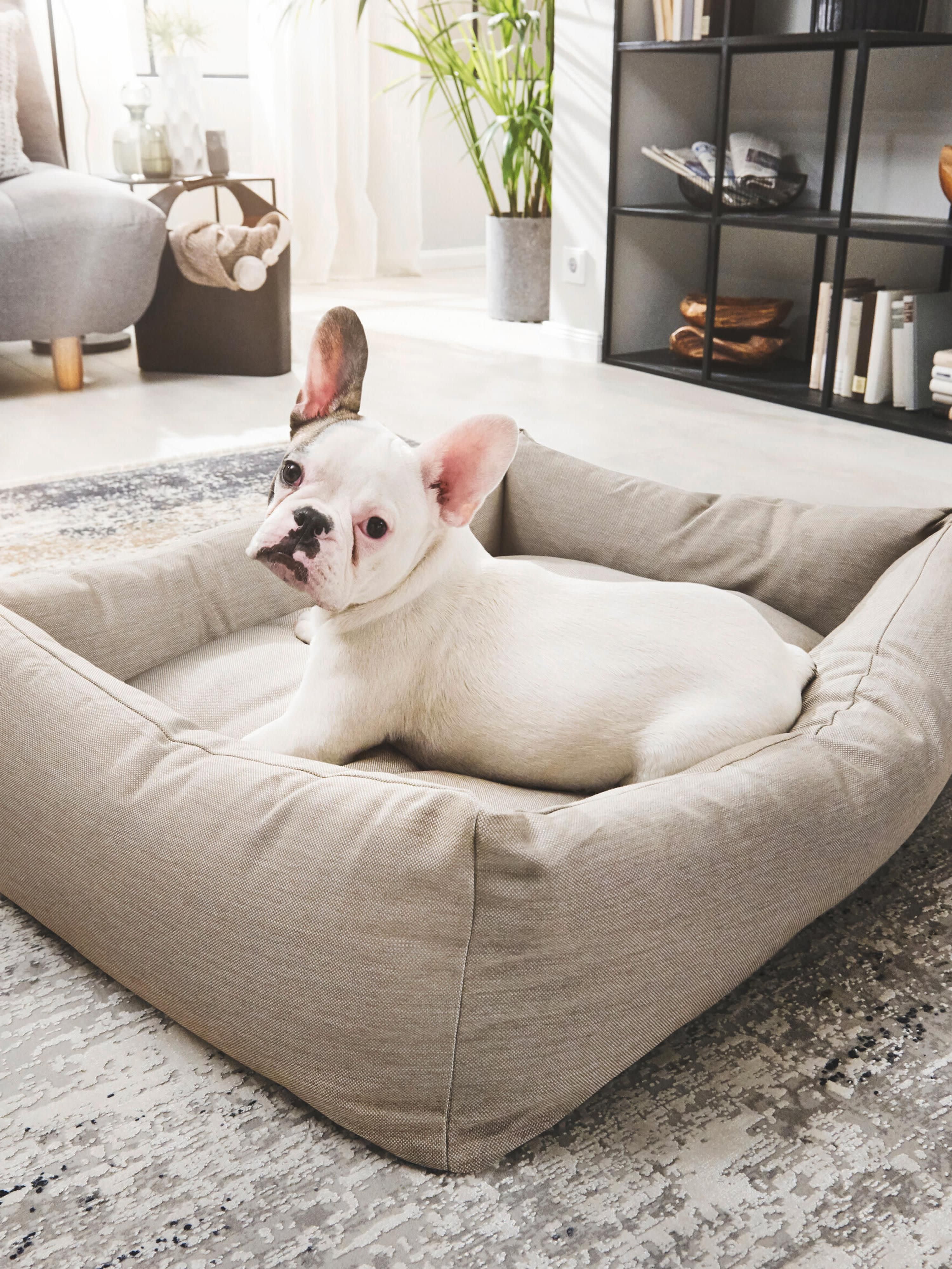 In- & Outdoor-Hundebett Smooth, in verschiedenen Größen