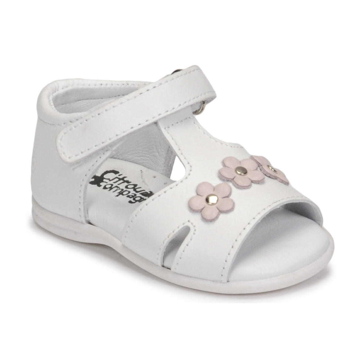 Citrouille et Compagnie - NEW 20 - White