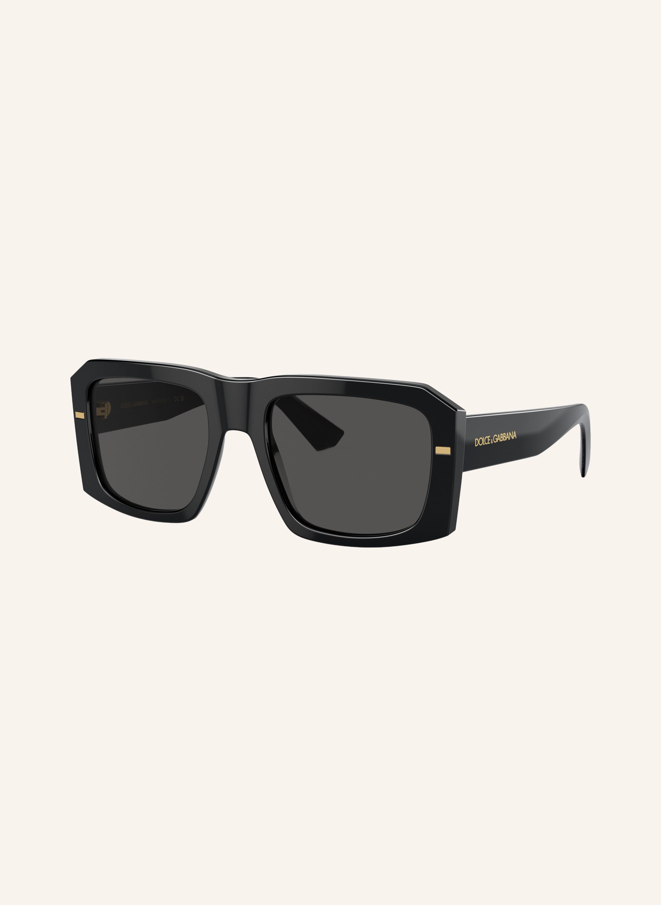 DOLCE & GABBANA Sonnenbrille DG4430