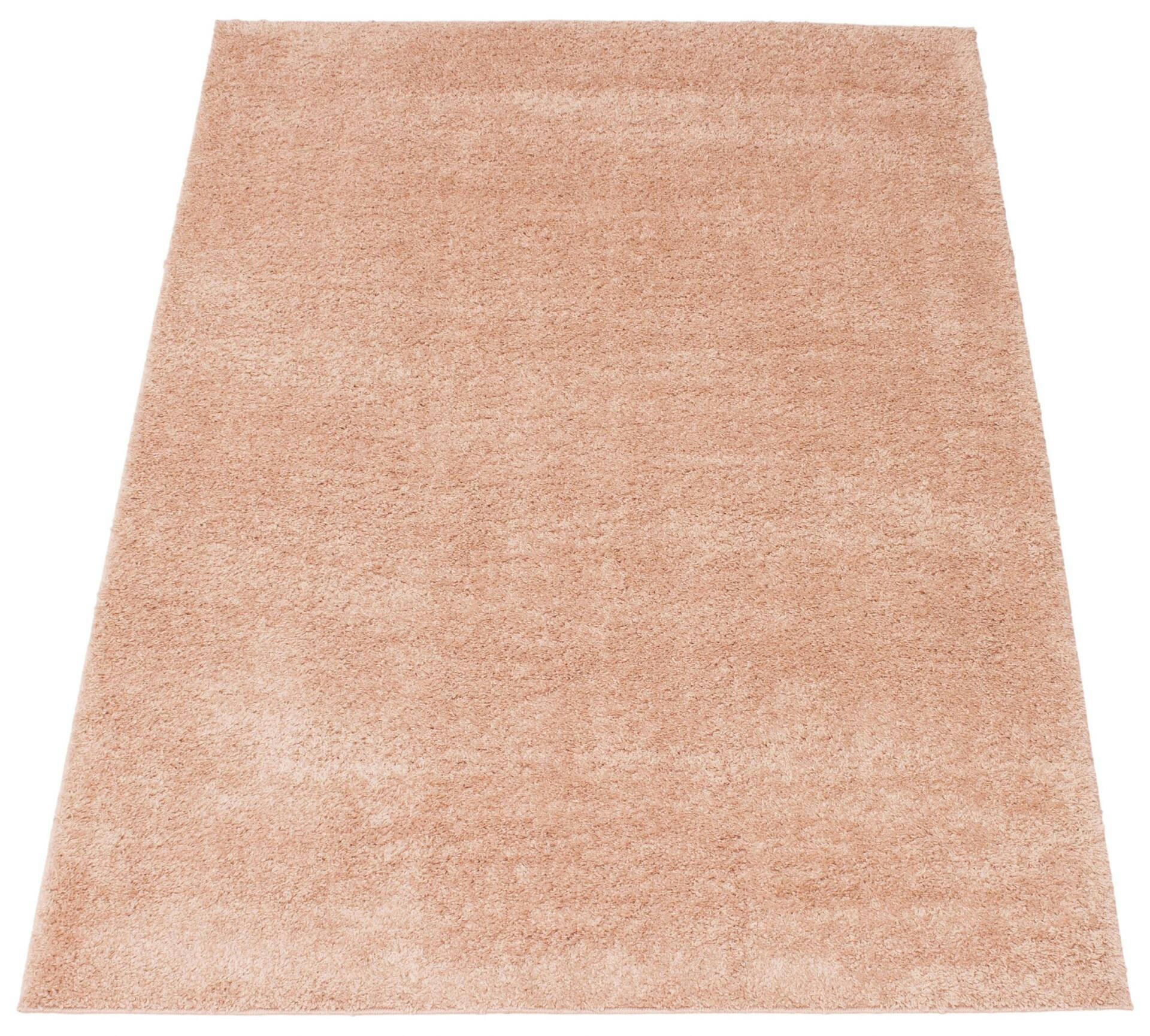 ECARPET Cleo Indoor Area Shag Rug, Pink, Assorted Sizes