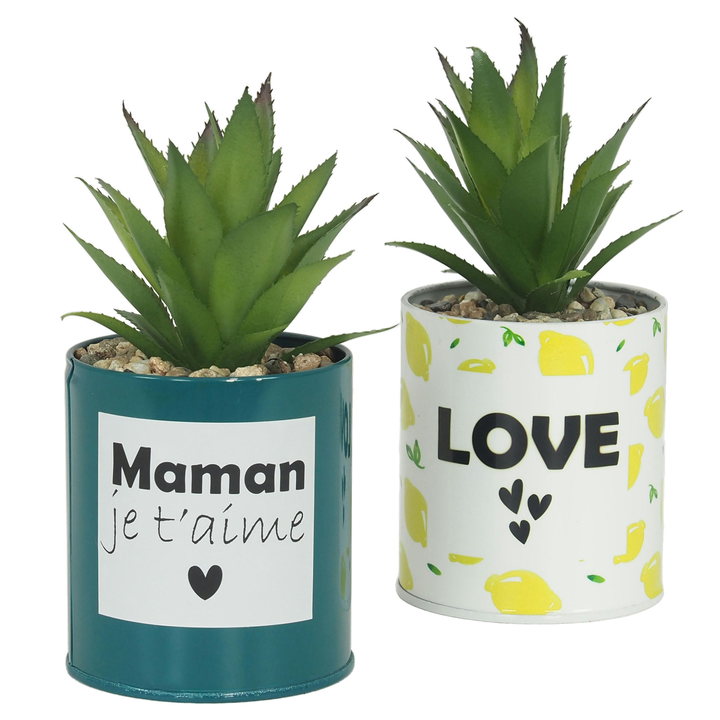 - Succulente artificielle en pot 17cm lot de 2