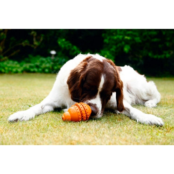 Hundespielzeug »Sumo Play Dental«, orange, Gummi