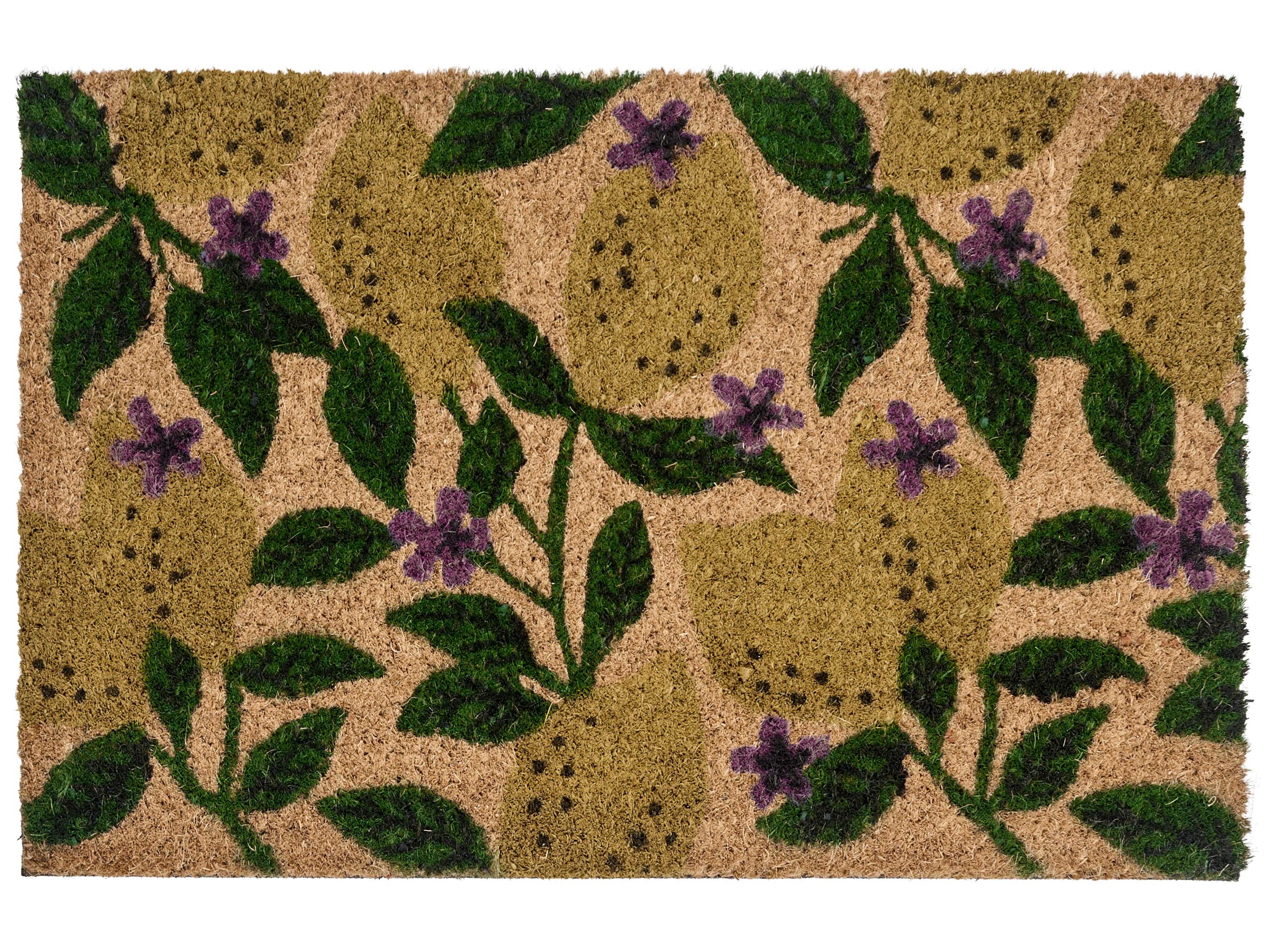 Doormat TAZLINA Multicolour 40 x 60 cm Lemon Coir
