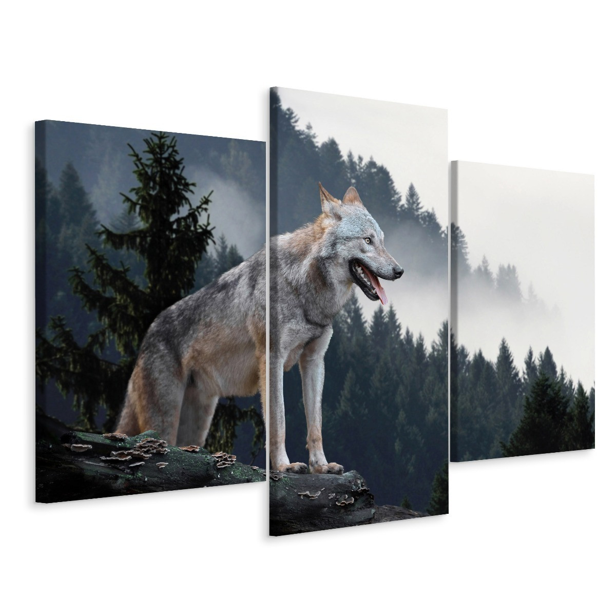 Obraz Tryptyk Wilk DRZEWA Las Krajobraz 3D 60x40cm