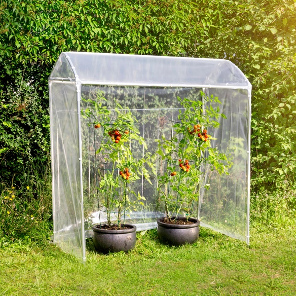 Gewächshaus, für Tomaten