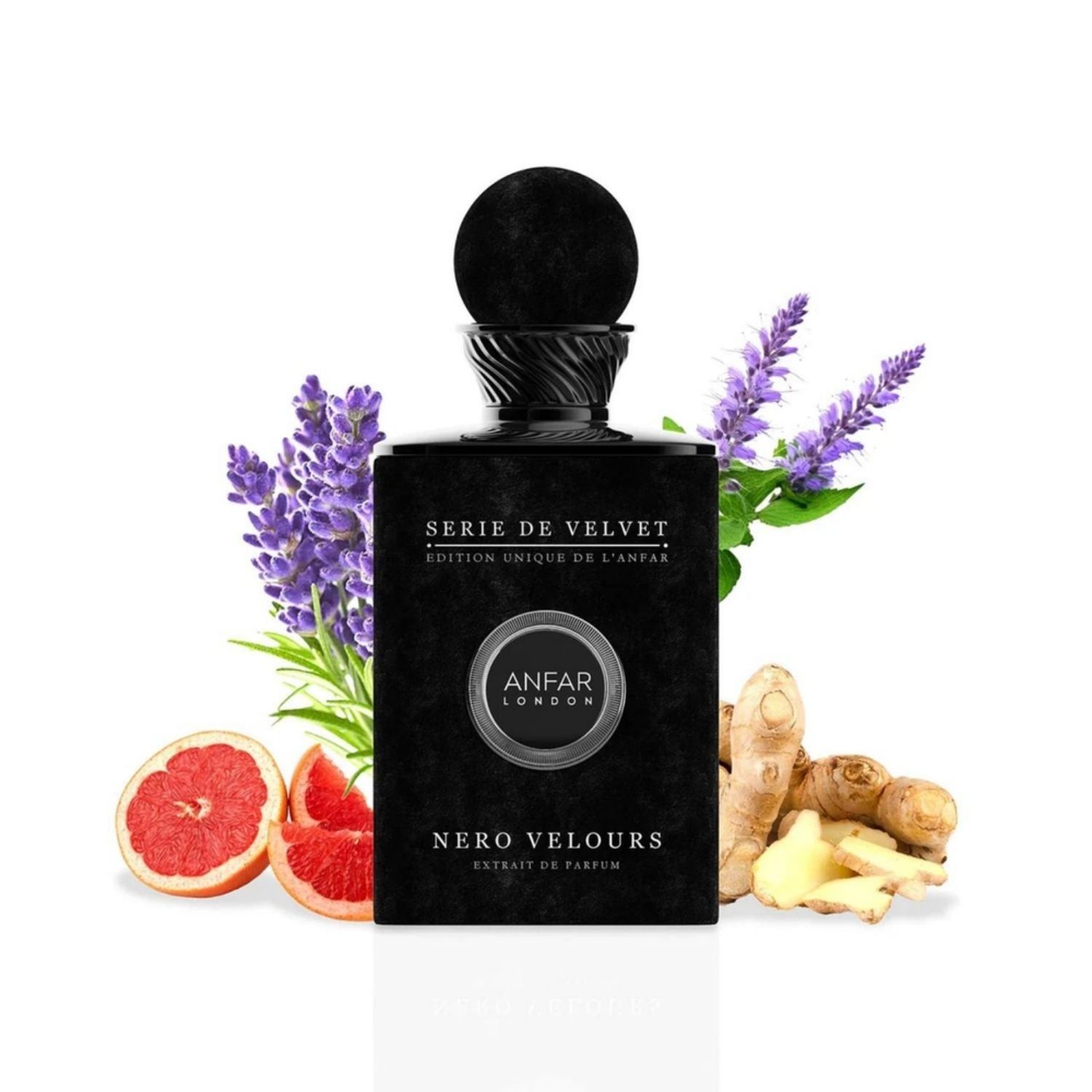 Anfar Nero Velours 100ml Extrait de Parfum – Série de Velvet