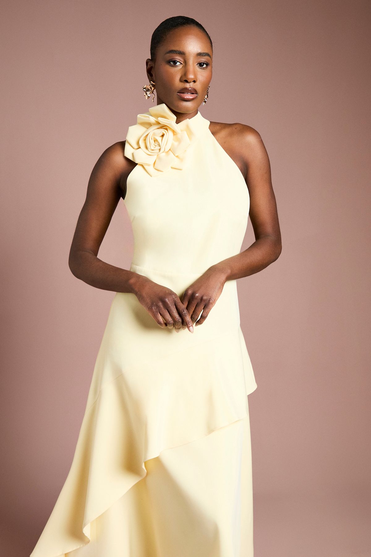 Coast High Neck Corsage Detail Midi Dress