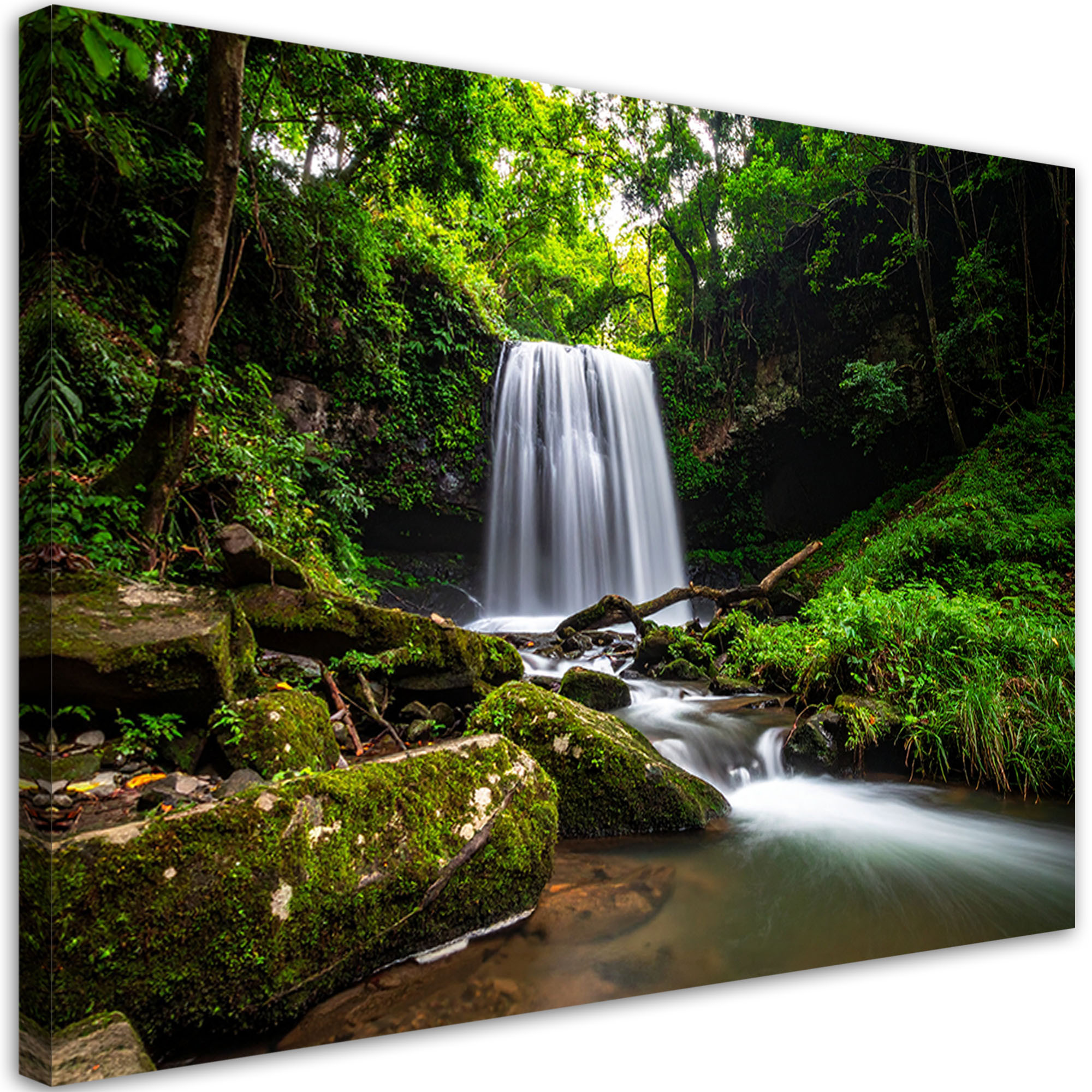 Obraz do salonu sypialni biura, Krajobraz wodospad drzewa natura 30x20