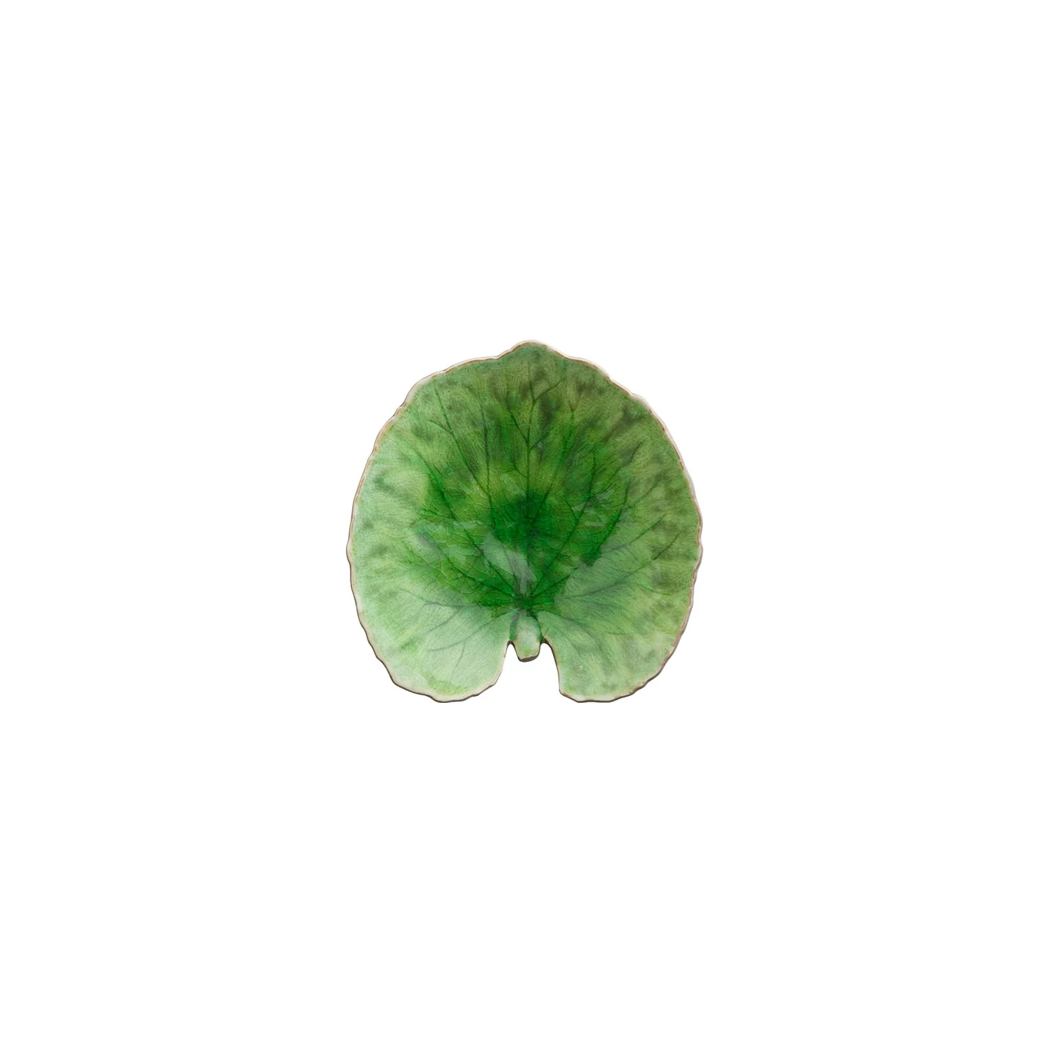 Alchemille Leaf Riviera