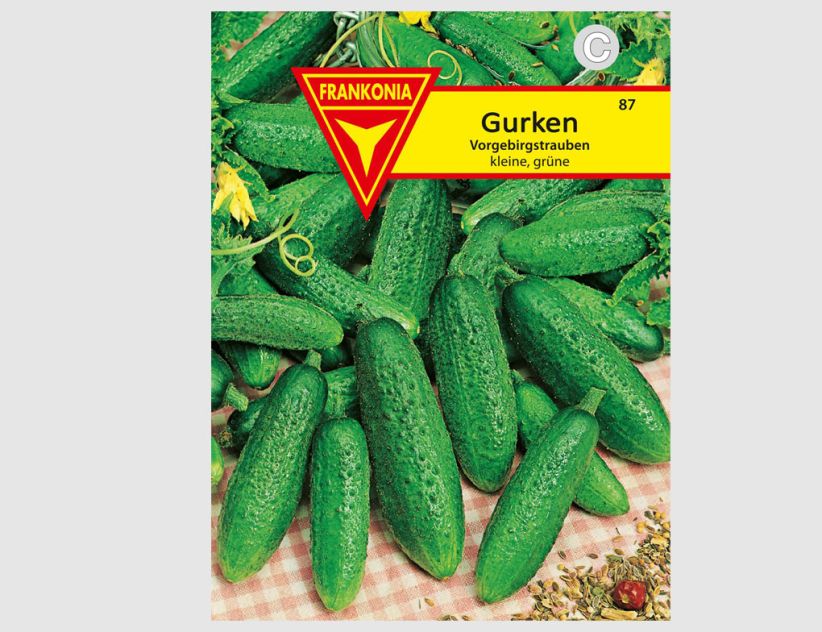 Einlegegurke Vorgebirgstrauben