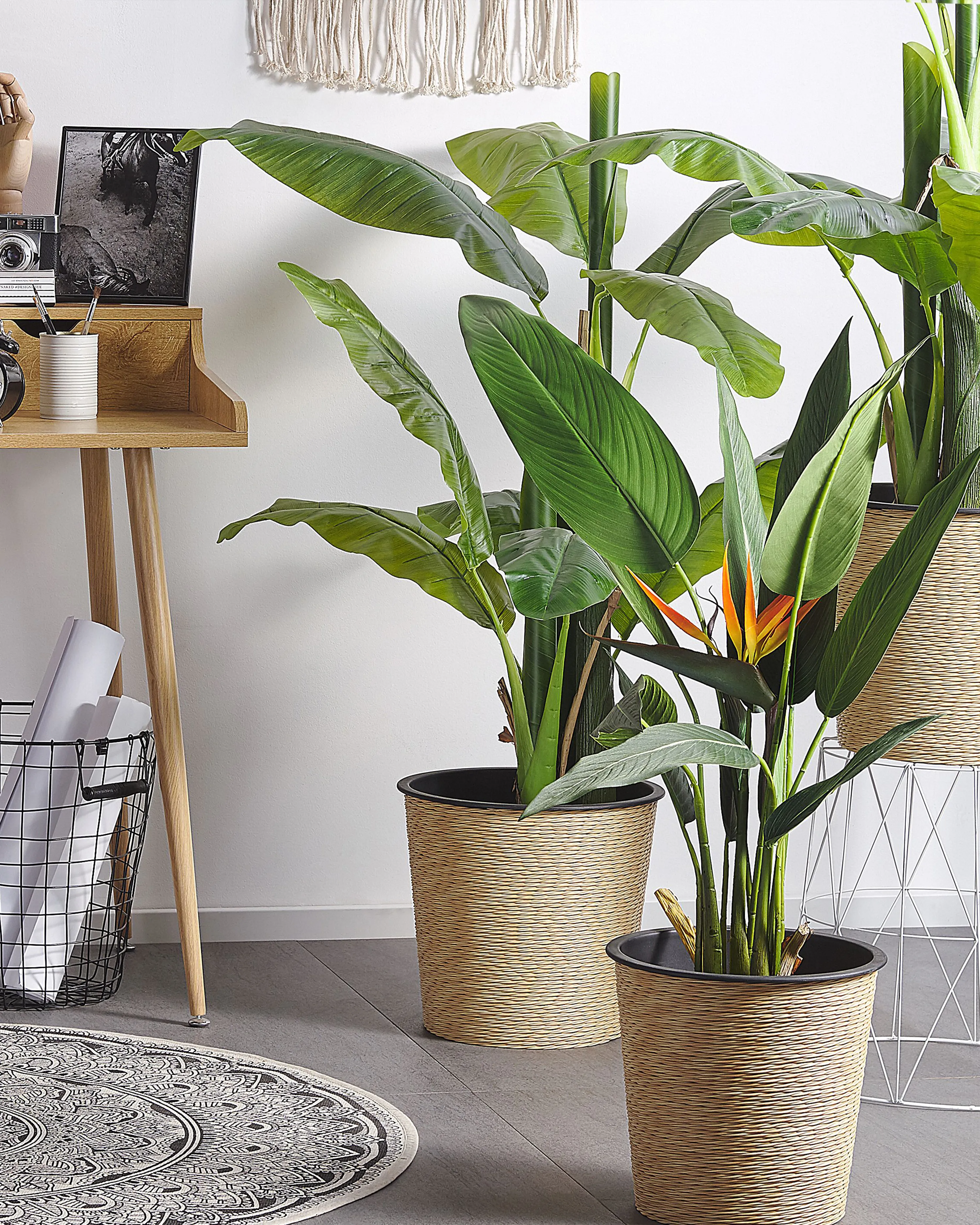 Artificial Plant STRELITZIA TREE 115 cm Green