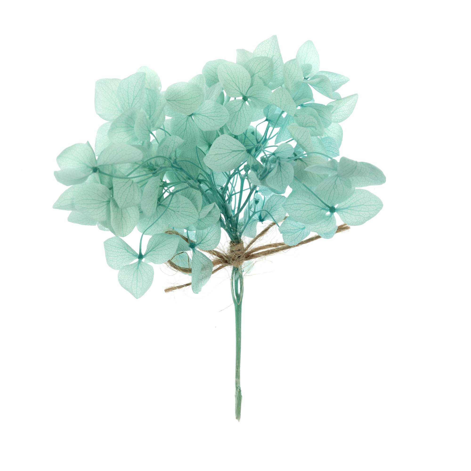 Sage Green Dried Leaves Pick 13cm