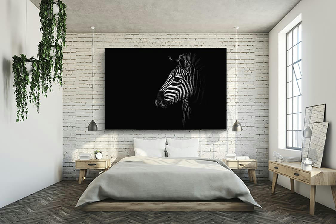 ZÈBRE HORS PÉNOMBRE - Photographie d'art de Guillaume Mordacq  40x60 cm sur plexi