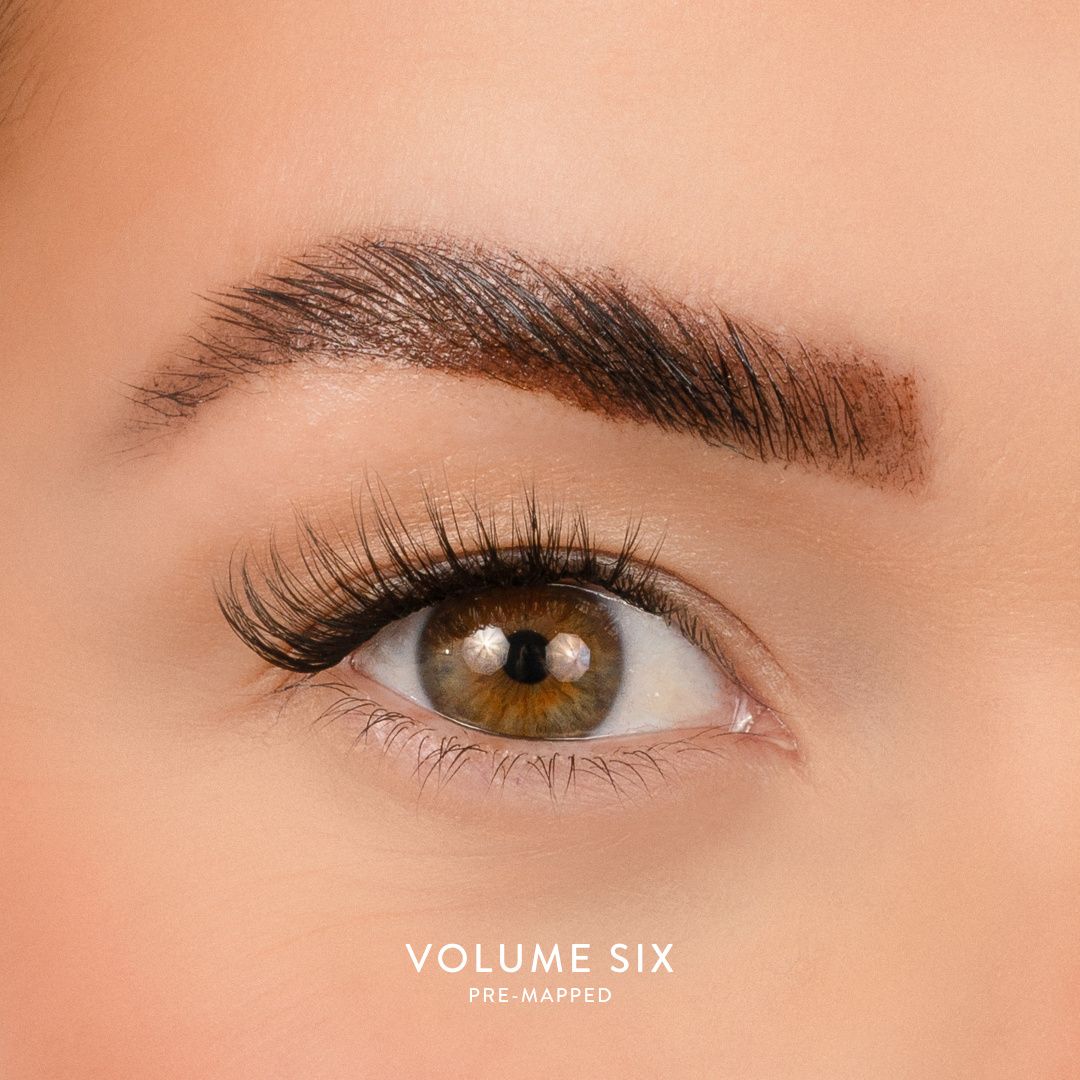 House of Amor Volume 6 - Pre Mapped Multipack