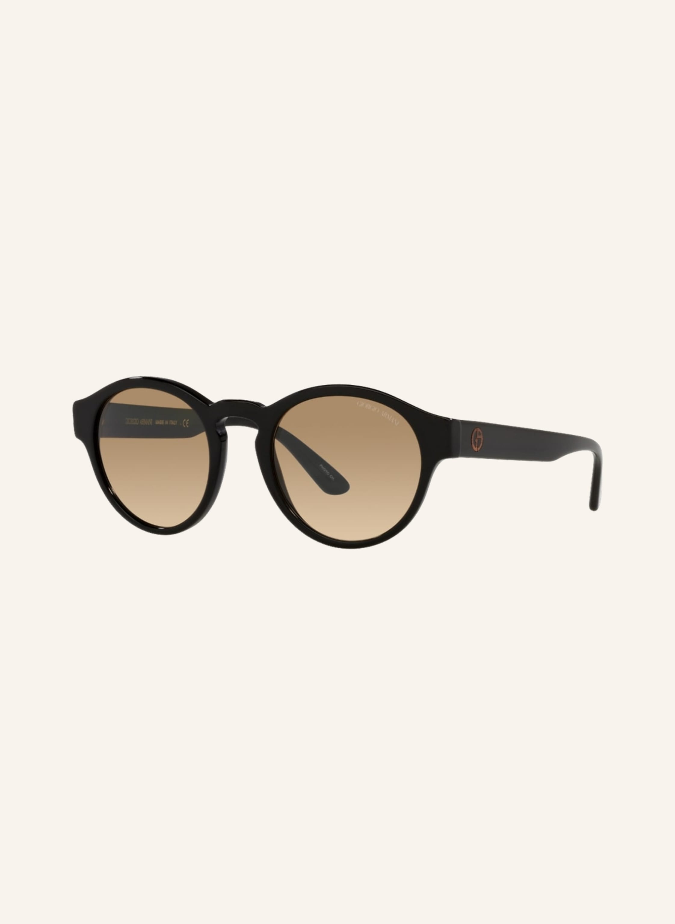 EMPORIO ARMANI Sonnenbrille AR8146