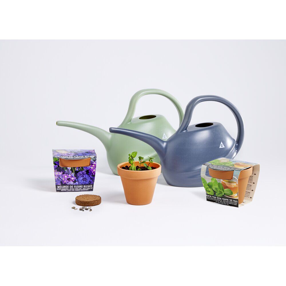 Pot terre cuite culture mélange fleurs bleues avec graines et terreau H8cm