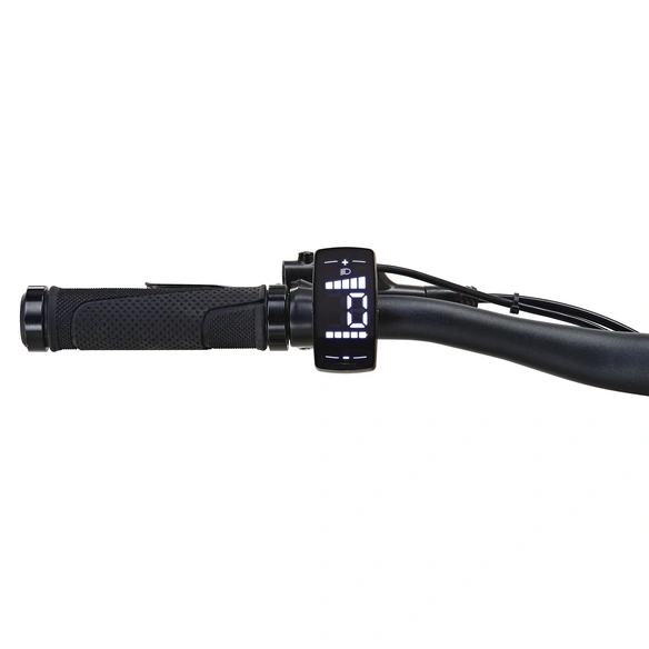 E-Bike »Graveler«, 29 Zoll, RH: 48 cm, 9-Gang