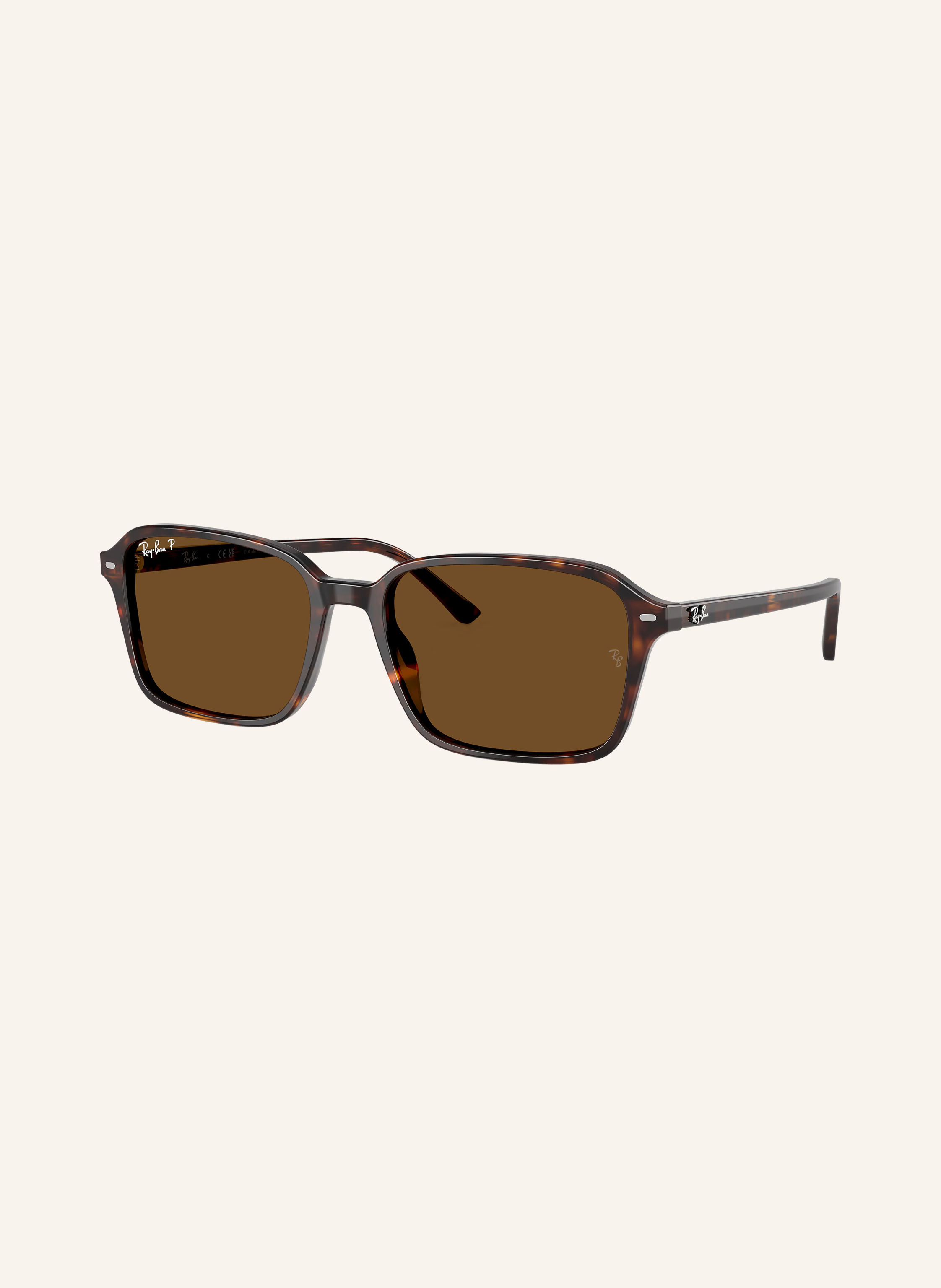 Ray-Ban Sonnenbrille RB2231