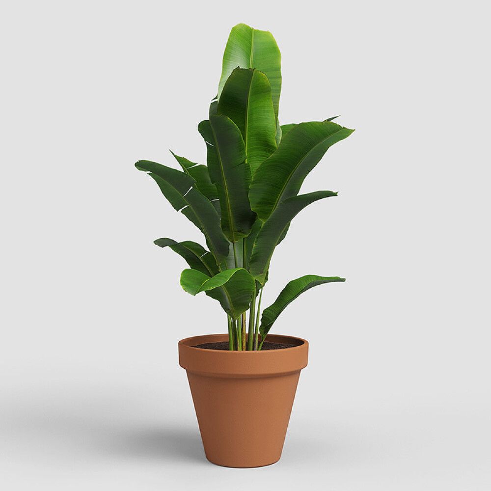 UTEPOTTE ARTEVASI AMÁLIA 17CM TERRAKOTTA