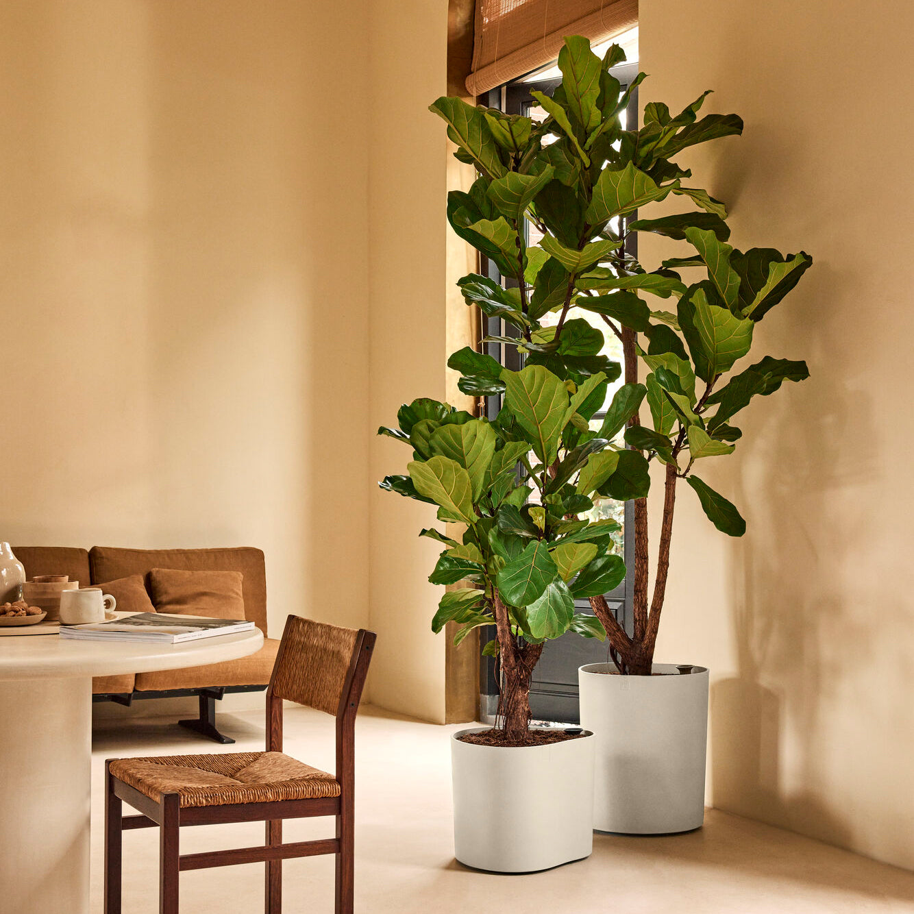 Elho Eden Aquacare Medium 40 - Linnen wit - L 42 x B x H 42 cm - Binne