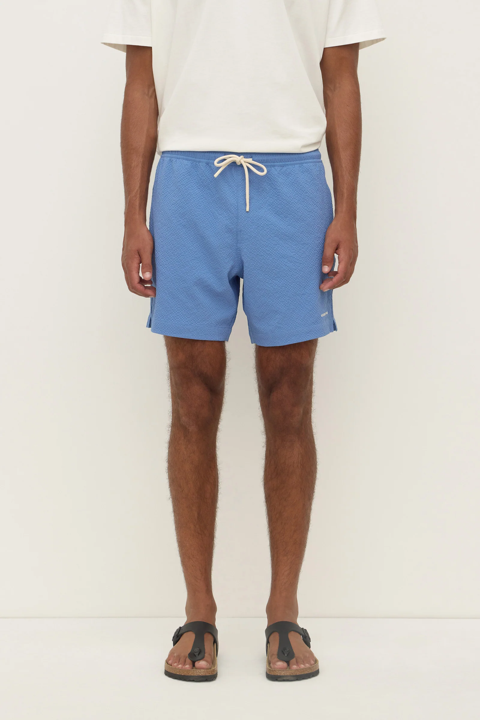 Seth Swim Short