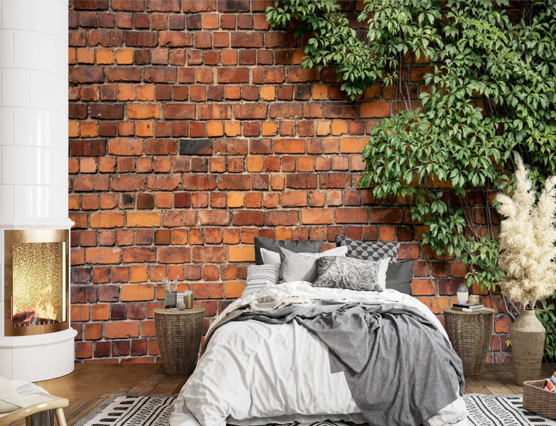 Feeby Fototapeta, Mur z cegły rośliny 150x105