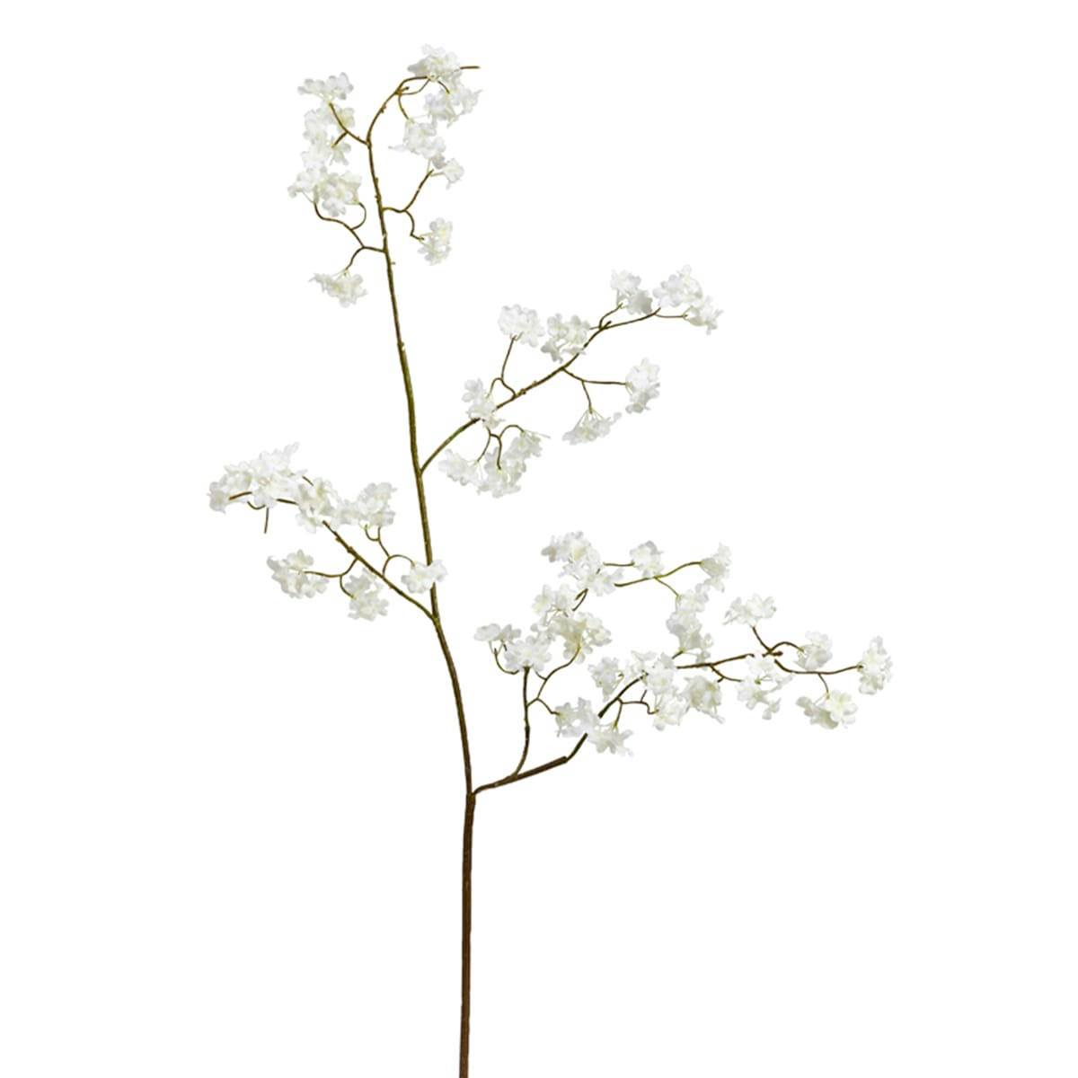 - Fleurs de cerisier