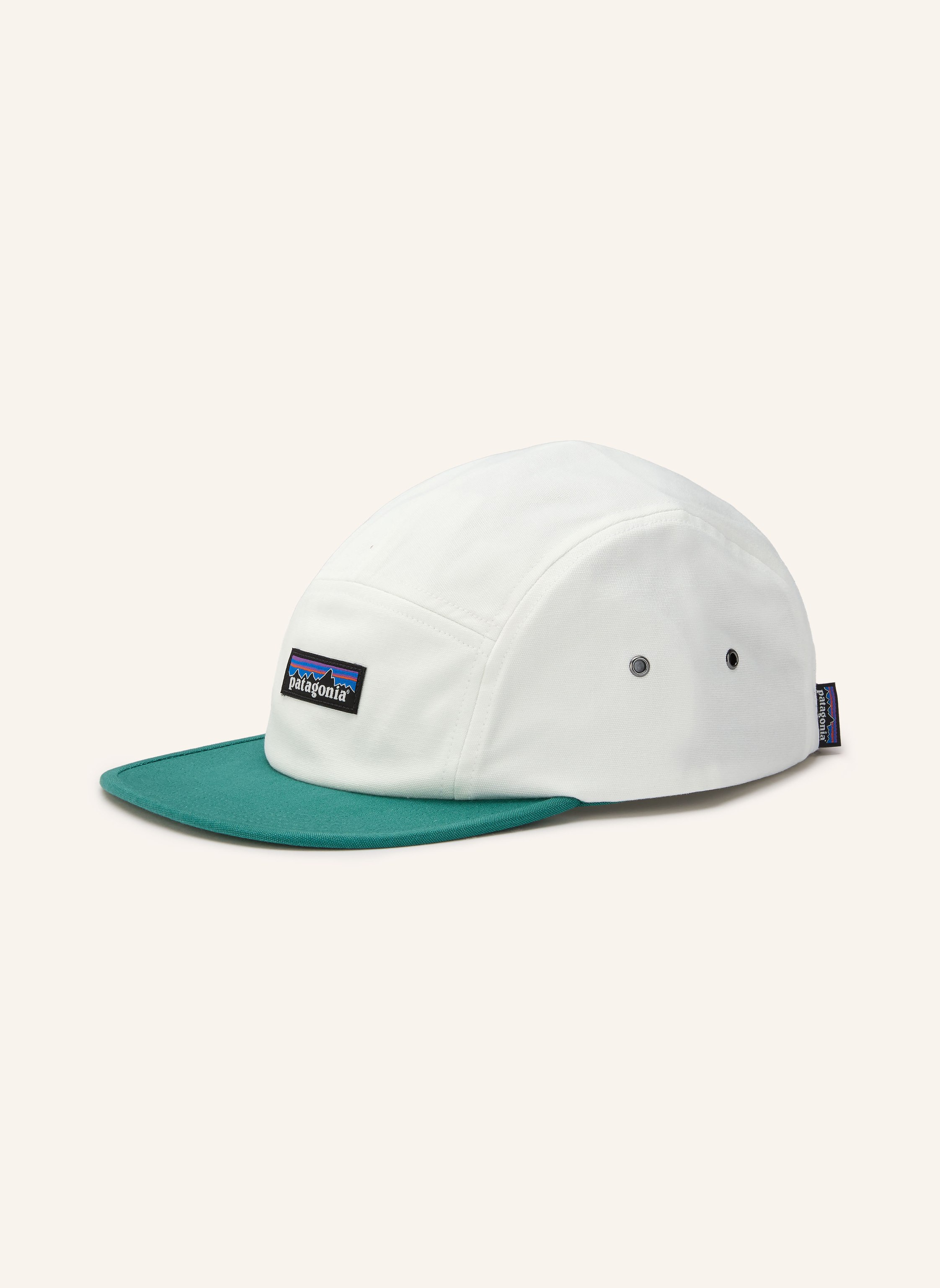 patagonia Cap GRAPHIC MACLURE