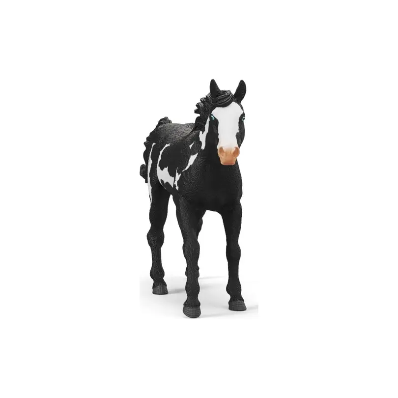 Spielset Horse Club