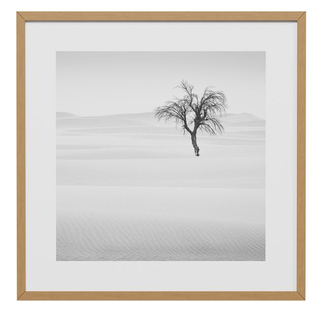 QUADRO 42 CM X 42 CM SIGNS OF LIFE III