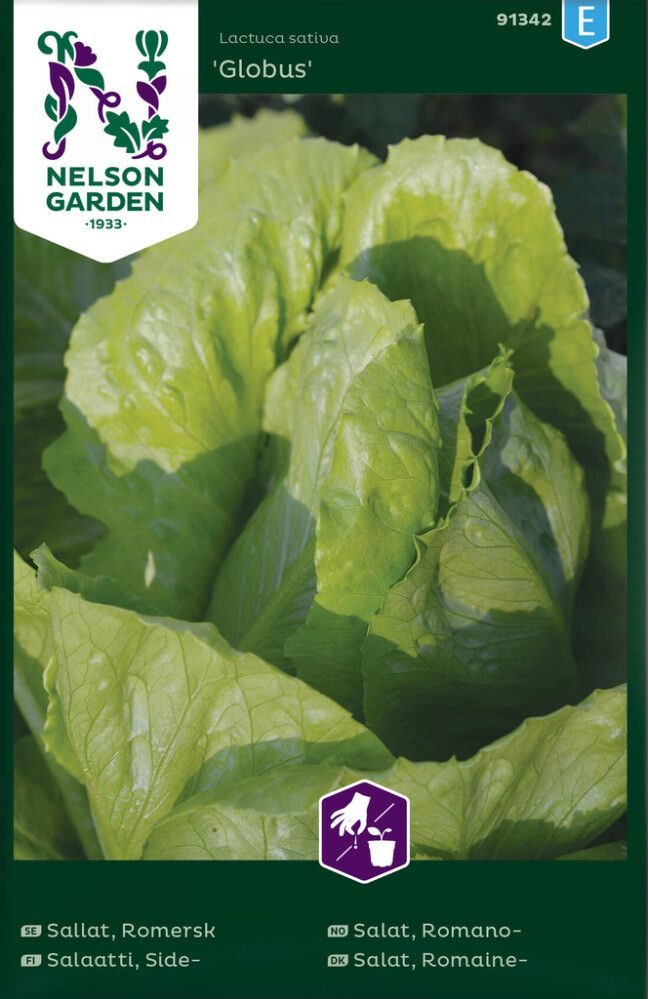 GRØNNSAKSFRØ NELSON GARDEN ROMANOSALAT GLOBUS