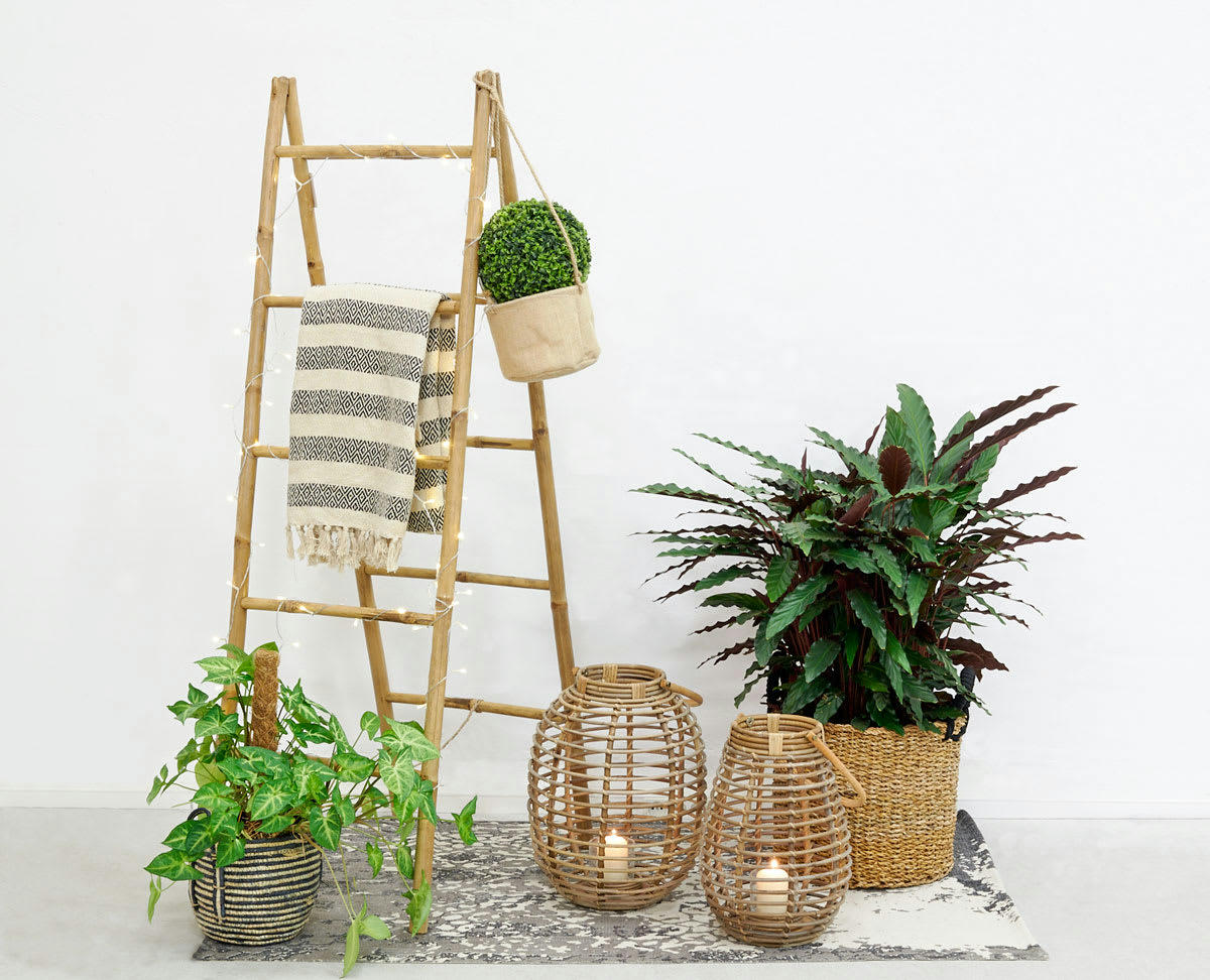 - Double échelle en bambou