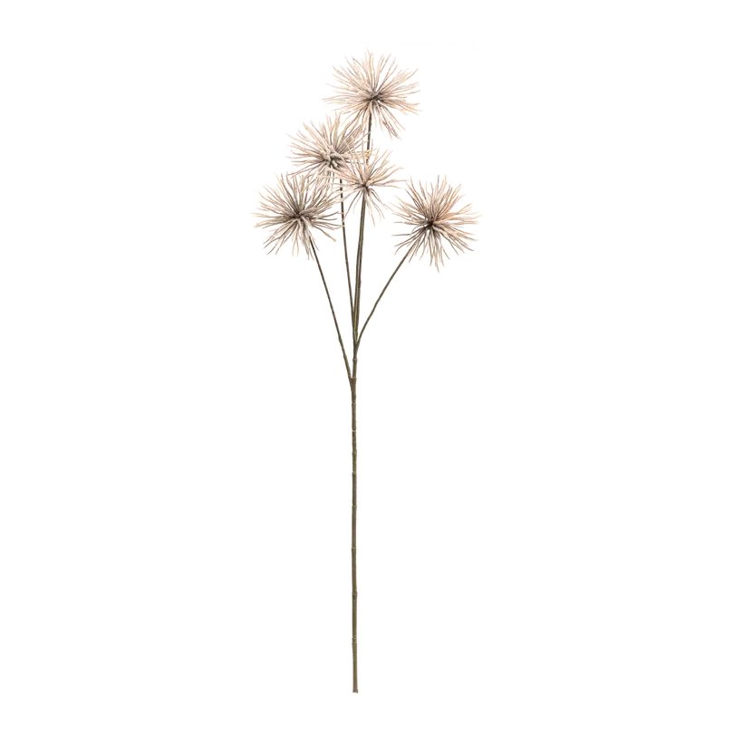 Dekozweig Dried-Grass