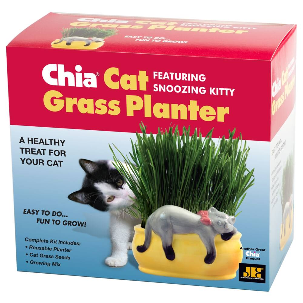 Chia Pet, Decorative Pottery Cat Grass Planter, Snoozing Cat with Seeds, Novelty Gift