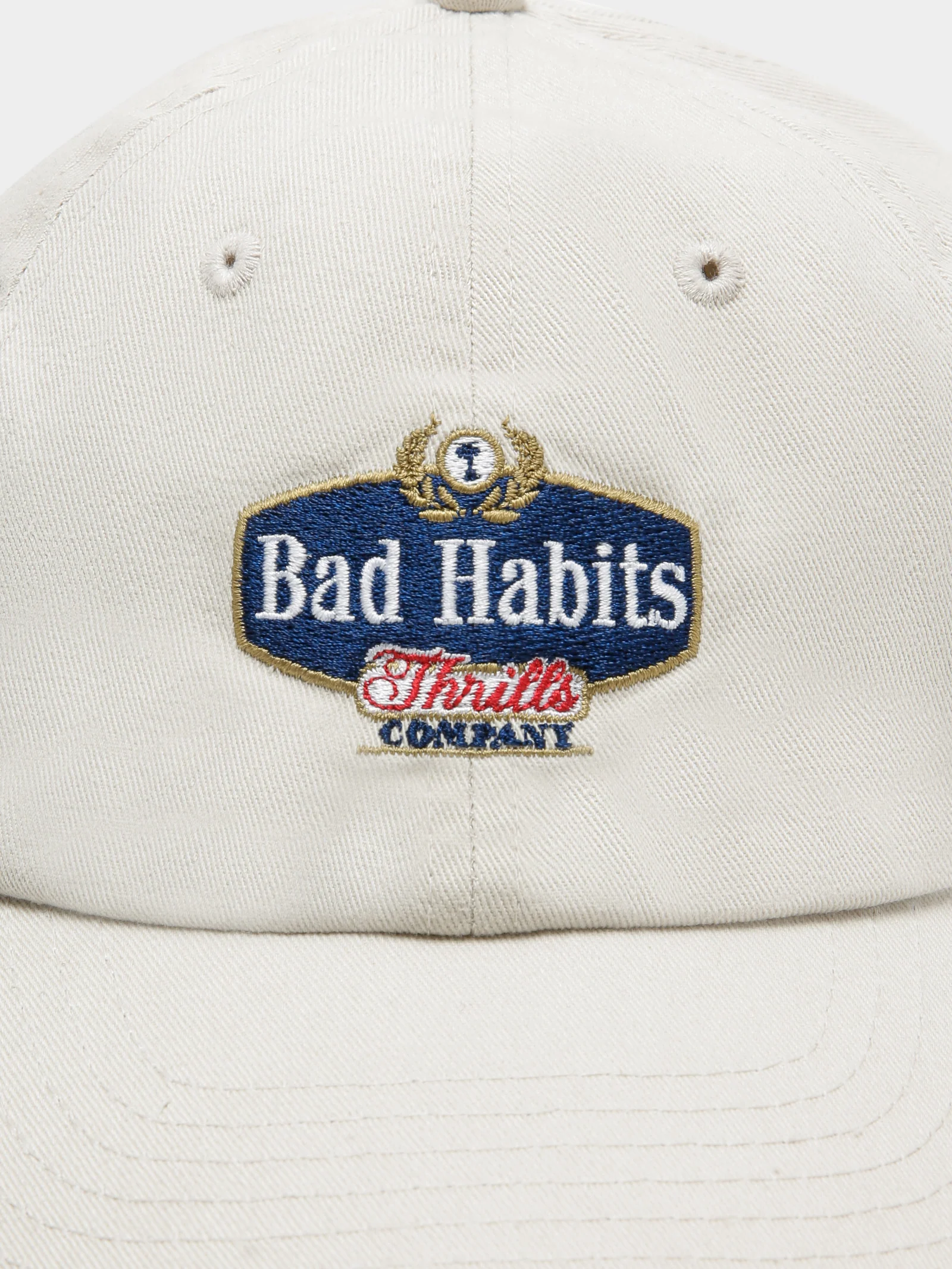 Bad Habits 6 Panel Cap