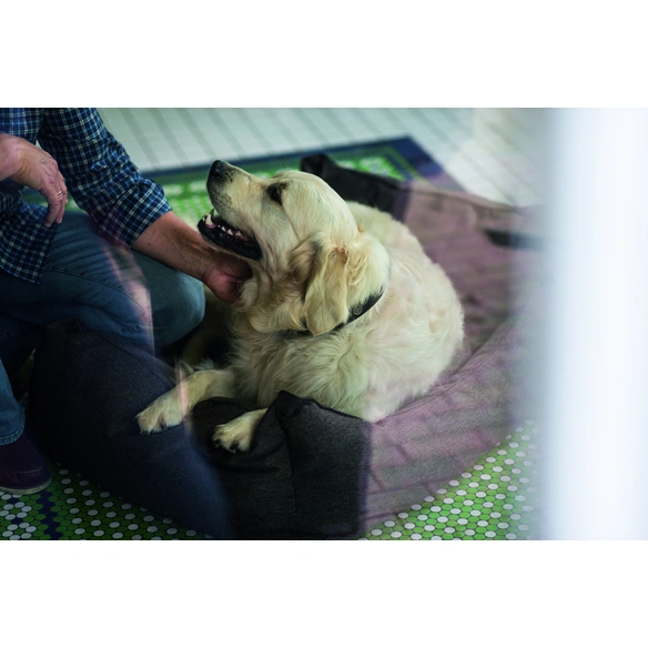 Hunde-Sofa, BxHxL: 55 x 17 x 65 cm, braun